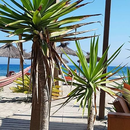 Beau Studio A 1 Minute De La Plage Canet-en-Roussillon Exterior photo