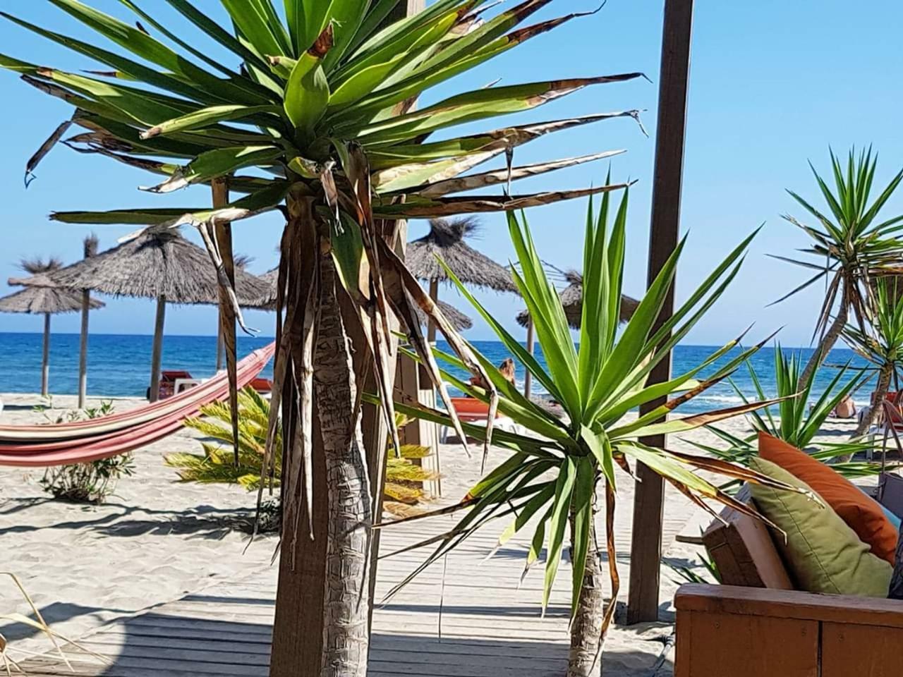 Beau Studio A 1 Minute De La Plage Canet-en-Roussillon Exterior photo
